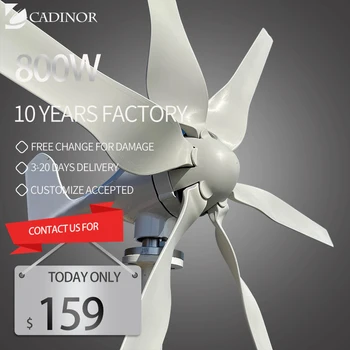 6 Лопастей Ветряные мельницы Ветряная турбина Генератор свободной энергии Китайский завод 800 Вт 12 В 24 В 48 В с контроллером заряда Mppt